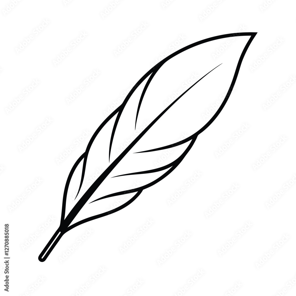 Obraz premium feather on white background