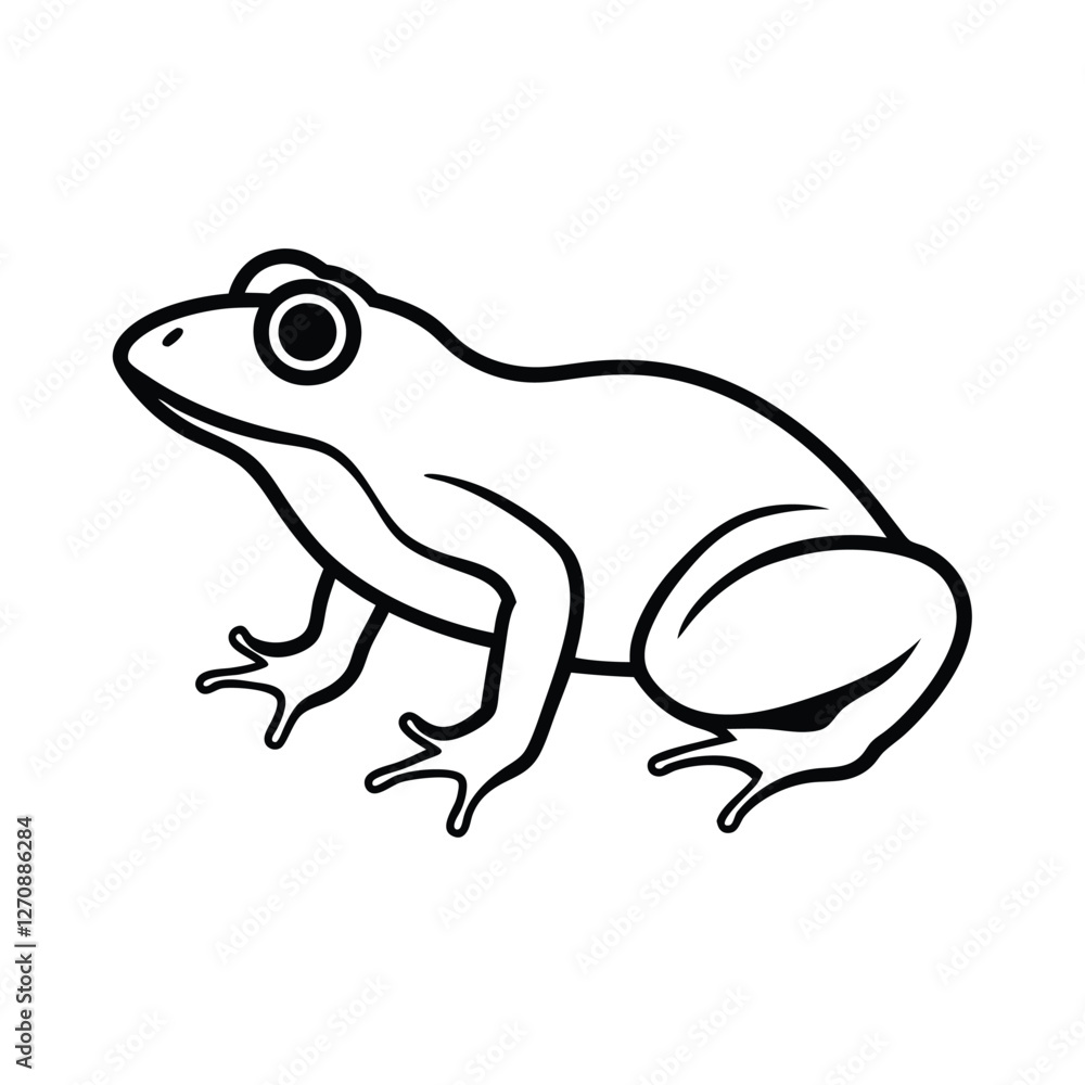 Naklejka premium frog on white background