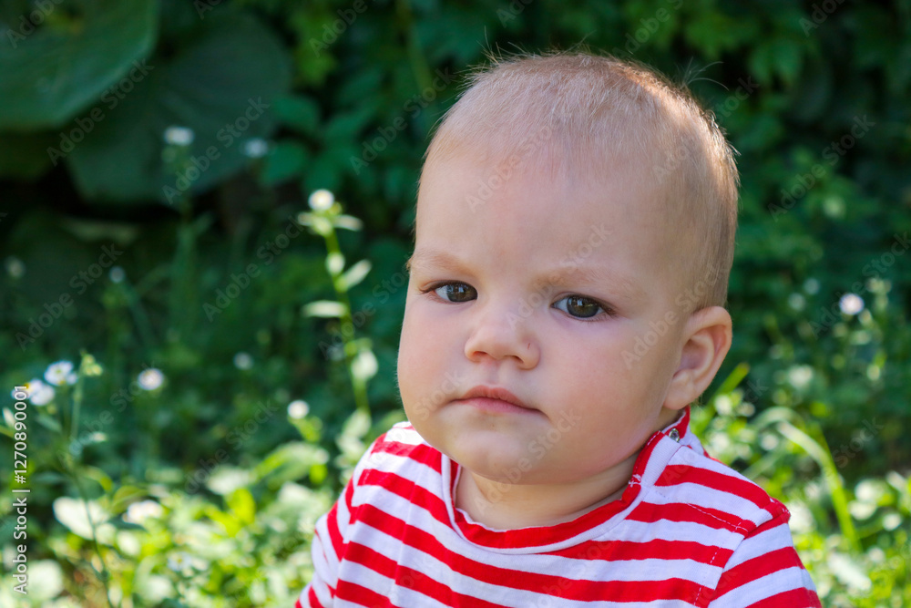 portrait of a little boy portrait of a little boy