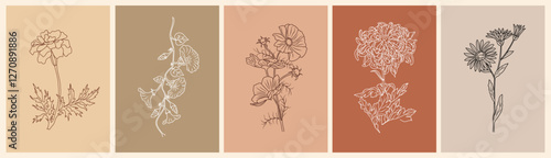 Set of botanical line art drawings of autumn birth month flowers, marigold, morning glory, chrysanthemum, aster, cosmos. Vector sketch isolated on terracotta colors backgrounds. Card, poster template