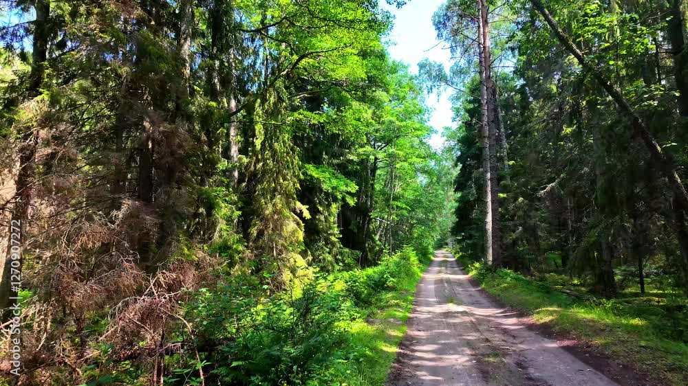 Trail inside the mouth of the Irbe River, public camping in Latvia Trail inside the mouth of the Irbe River, public camping in Latvia