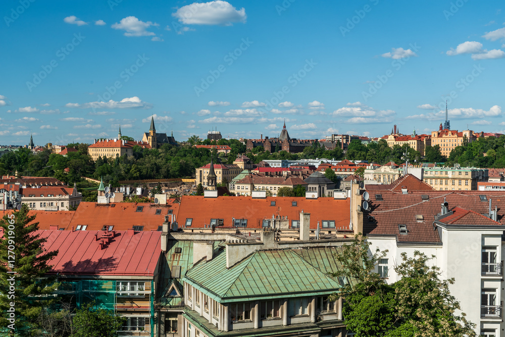 Obraz premium Prague city scenery from Vysehrad hill