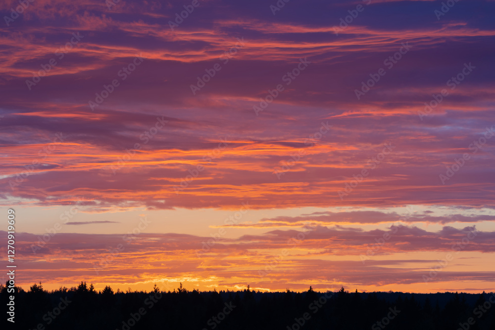 Vibrant romantic sunset sky with orange and pink clouds over the forest horizon. Natural background Vibrant romantic sunset sky with orange and pink clouds over the forest horizon. Natural background