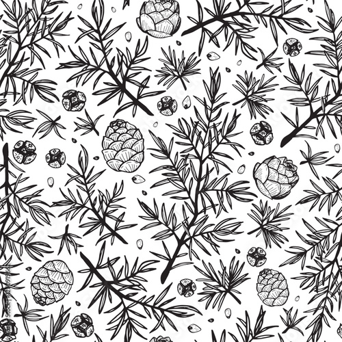 Pine branches vector seamless pattern