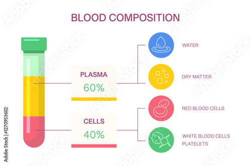 Blood Composition Chart. Infographic of Blood Composition in Test Tube. Vector medical infographic showing plasma, red and white blood cells, platelets, and water content.