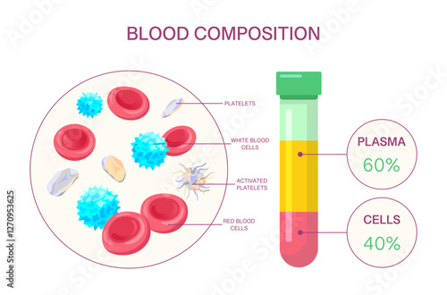 Blood Composition Diagram with Plasma and Cells. Medical vector infographic showing red and white blood cells, platelets, plasma, and test tube sample.