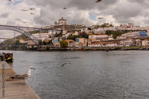 Seagulls fly above the Douro river with the Dom Luis bridge and hillside of Vila Nova de Gaia visible behind in Porto Portugal