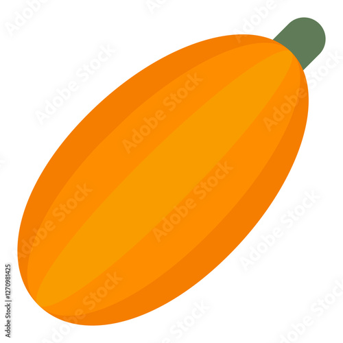 Delicata Squash Vector Design Icon Style