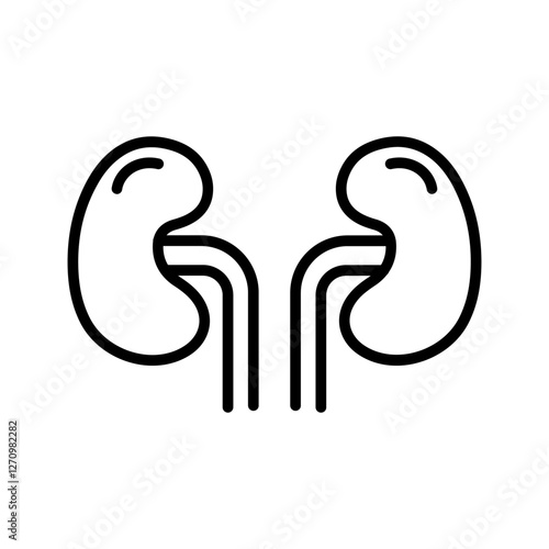 Kidneys Vector Icon