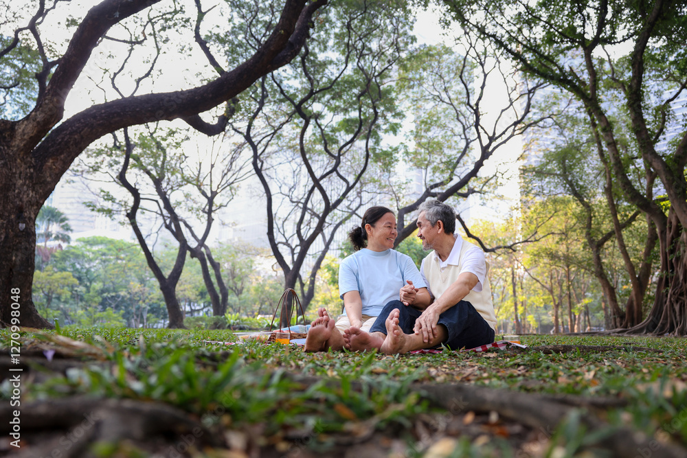 Senior asian couple having summer picnic in the public park while holding hand together for love, longevity and healthy marriage relationship usage Senior asian couple having summer picnic in the public park while holding hand together for love, longevity and healthy marriage relationship usage