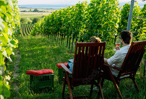 Relaxing vineyard scene