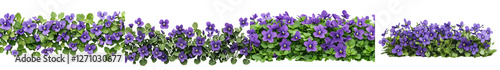 Lush purple floral arrangement with vibrant lavender blooms growing in a natural garden setting  The flowers have delicate petals and verdant leaves creating a serene and tranquil botanical display