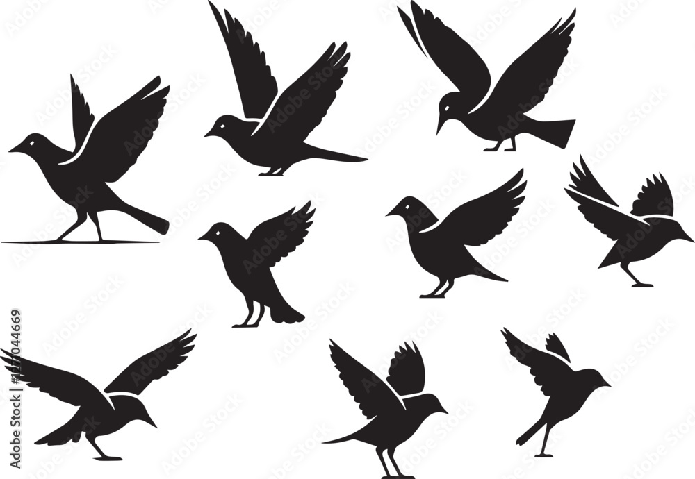 Obraz premium birds silhouette