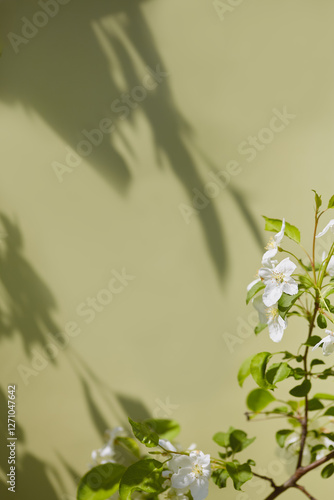 White flowers cast beautiful shadows on a green wall in bright sunlight