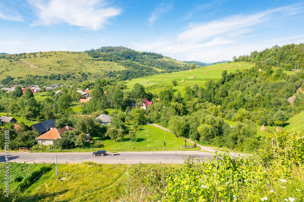 mountainous countryside landscape of ukraine in summer. sunny day. scenery with grassy rural field and forest on the hill. village in the valley. clouds on blue afternoon sky. alpine climate