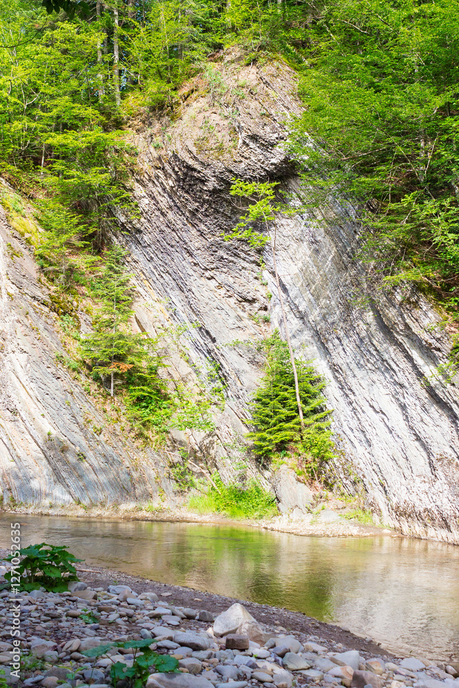 mountain river with stones on the shore. steep cliff. scenic landscape with forest on the rocky mountain slope. nature scenery on a sunny summer day. natural environment