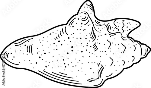 Clamshell. Sketch, outline, contour, black and white image.