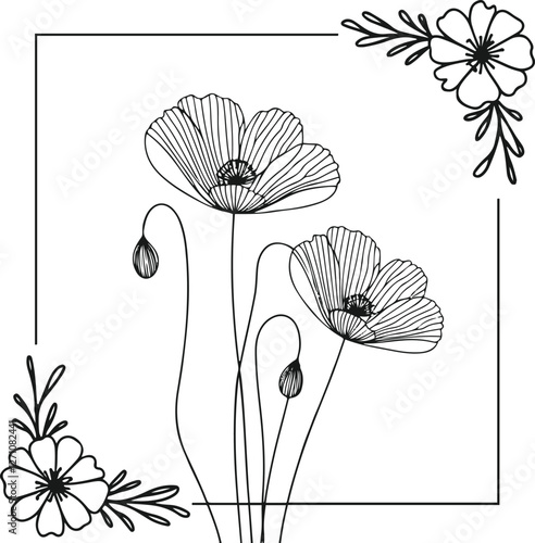 Poppy flowers in continuous line art drawing style. Doodle floral border with two flowers 6.eps