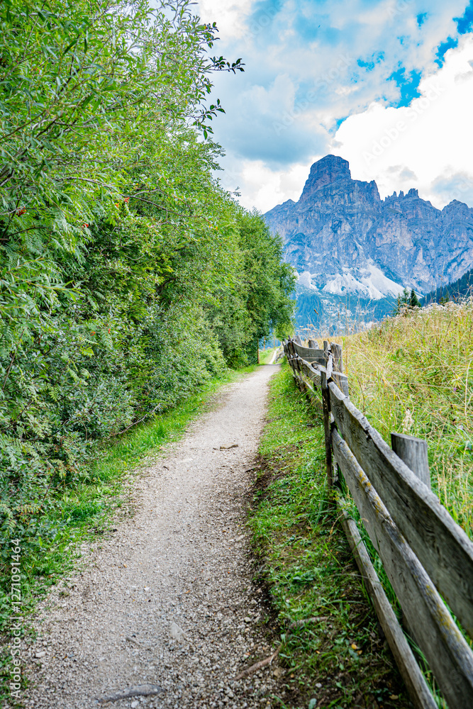 path in the mountains path in the mountains
