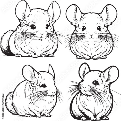 "Charming Chinchilla Illustrations - Black and White Cartoon-Style Chinchillas with Whimsical Poses"