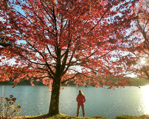 mulher no lago são bernardo em são francisco de paula, rio grande do sul 