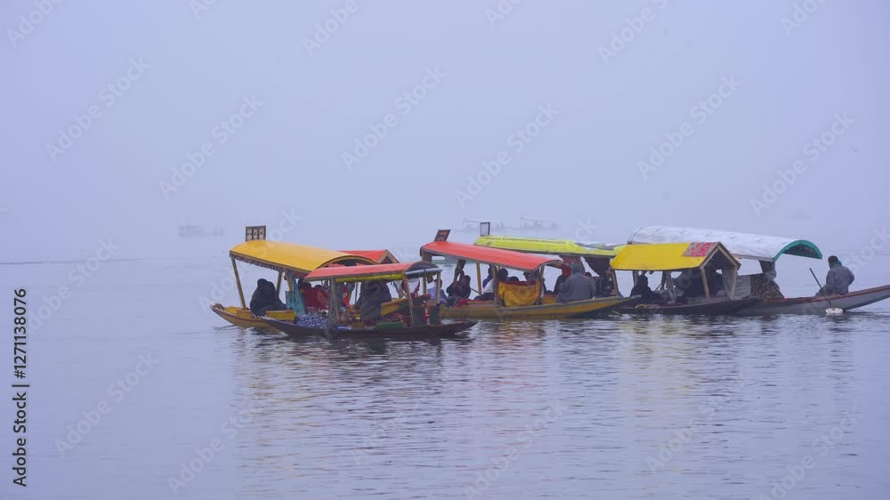 group of colorful wooden shikara boats on the water of dal lake in Srinagar Kashmir on a foggy winter morning ready for the floating vegetable market a common commerce group of colorful wooden shikara boats on the water of dal lake in Srinagar Kashmir on a foggy winter morning ready for the floating vegetable market a common commerce