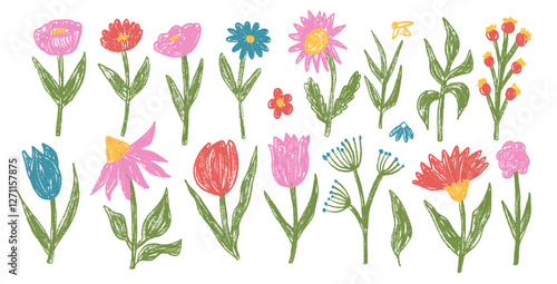 Flowers crayon drawn set. Spring tulip, daisy, aster and marguerite plants doodle set. Pastel childish floral shape. Vector pencil illustration isolated on white background.