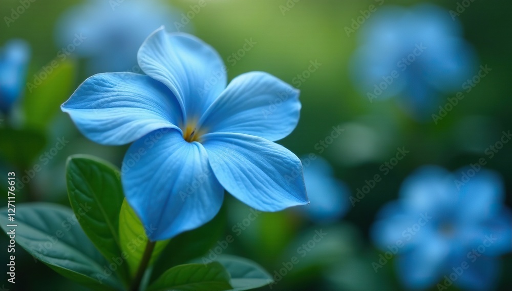 Spring blue flower towering above other blooms, gardenia, large blooms Spring blue flower towering above other blooms, gardenia, large blooms