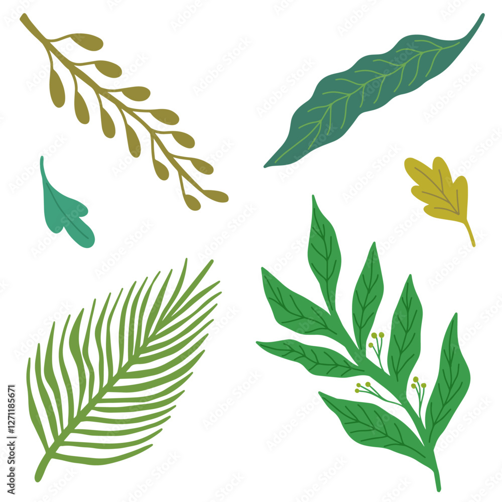 Obraz premium set of green leaves