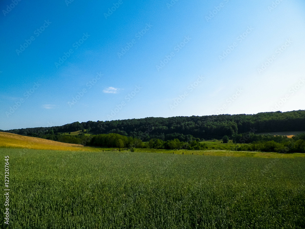 Landscape of meadow and hills in Wieżyca, Kashubian Region, Poland. Landscape of meadow and hills in Wieżyca, Kashubian Region, Poland.