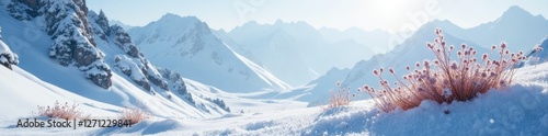Wallpaper Mural Serene snowy landscape with delicate alpine plants, icy, cold, alpines Torontodigital.ca