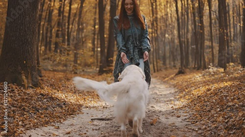 young cheerful redhead girl walking and playing with her labrador retriever dog outdoors in autumn forest