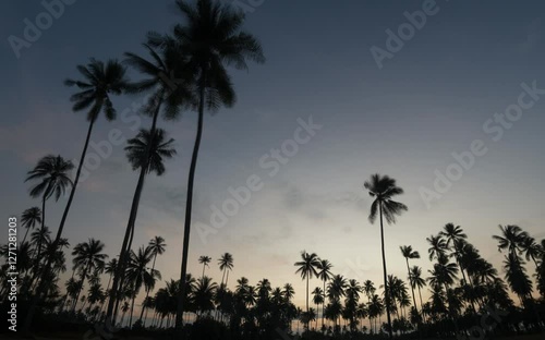 Wallpaper Mural Sunset sky and clouds with coconut palm trees in Phuket Thailand Nature background Coconut palm trees blow in wind Torontodigital.ca