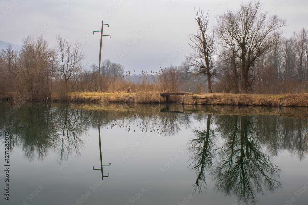 Obraz premium reflection of trees in the water