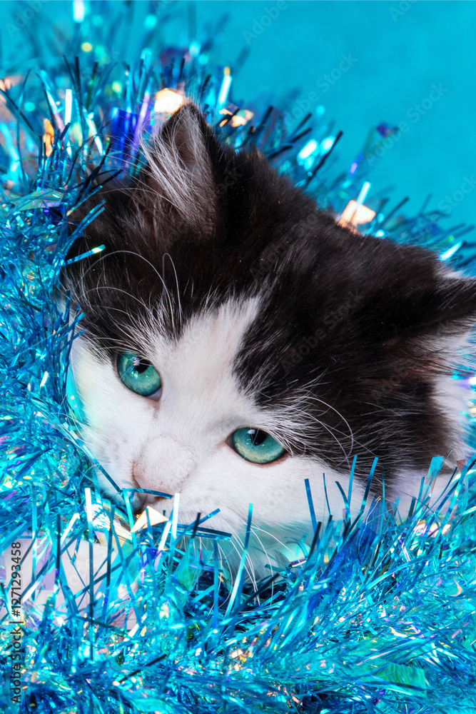 Funny little kitten wrapped in glitter Christmas garland on a blue background. Christmas concept