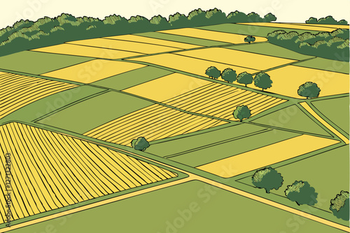  Aerial view, patchwork farmland, vibrant colors, geometric patterns, agricultural fields, green and gold crops, bird's eye perspective, rural landscape, abstract composition, textured land, diverse 