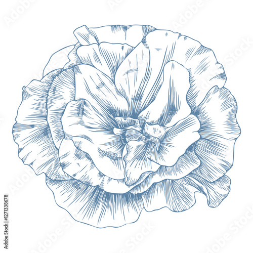 Botanical blue wedding flower on white background. Hand drawn floral, flower and leaf branch in toile de jouy style. Line art for wedding, monogram, invitation, greeting, logo, birthday cards