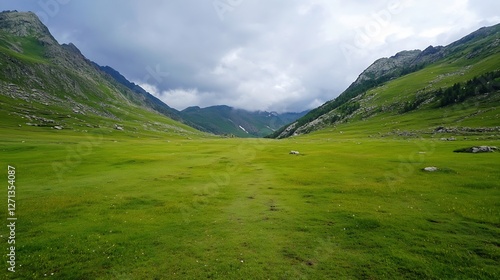 Expansive Green Meadow Surrounded by Majestic Mountains Under Cloudy Sky : Generative AI