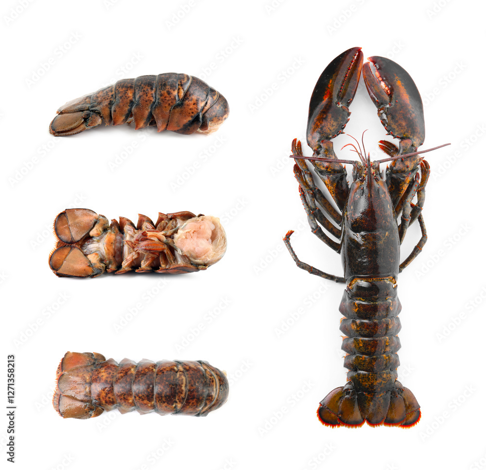 Fresh raw lobster and tails isolated on white, set Fresh raw lobster and tails isolated on white, set