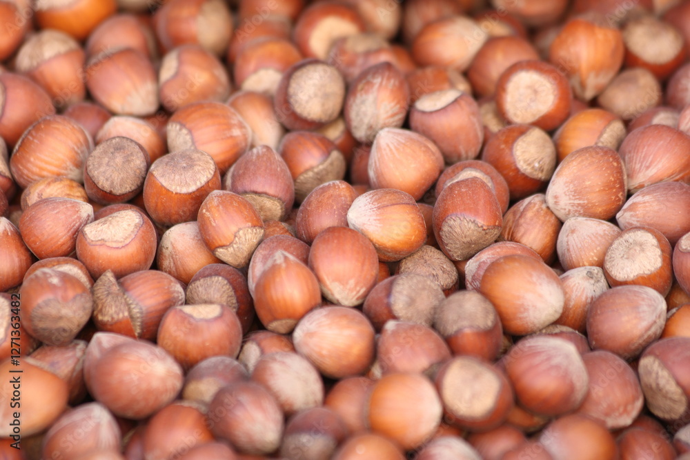 close up of top view of unshelled hazelnuts close up of top view of unshelled hazelnuts