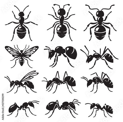 Ant set vector