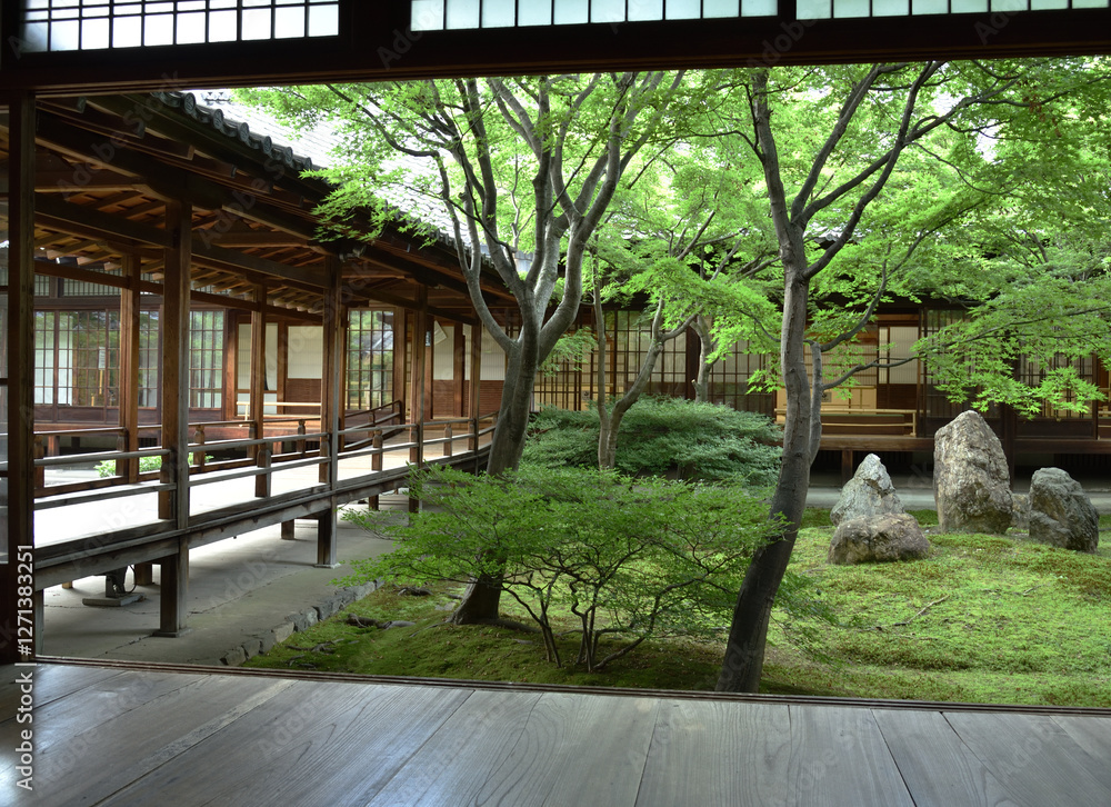 建仁寺　潮音庭　初夏(京都市東山区)