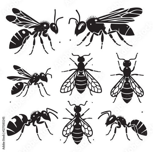 Ant set vector