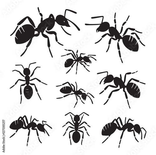 Ant set vector
