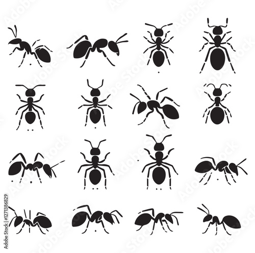 Ant set vector