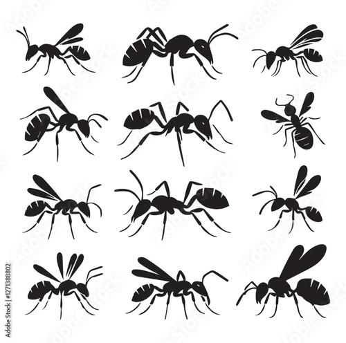 Ant set vector
