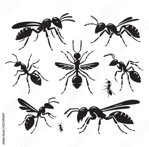 Ant set vector