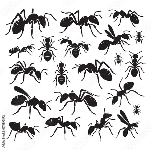 Ant set vector