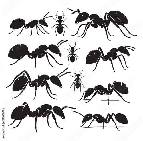 Ant set vector