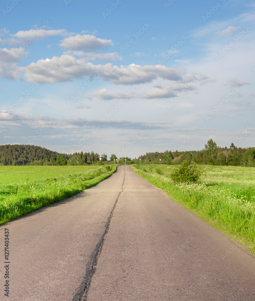 Fototapeta premium Long road with a few trees in the background